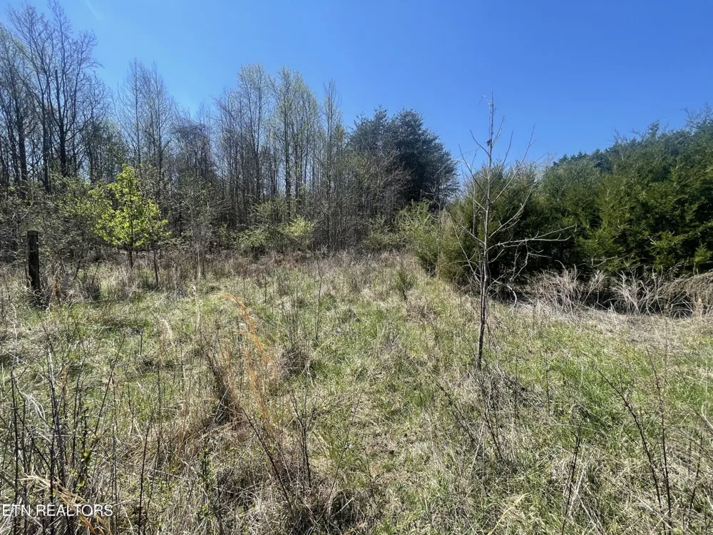 317 Mountain View Drive Vonore, TN 37885