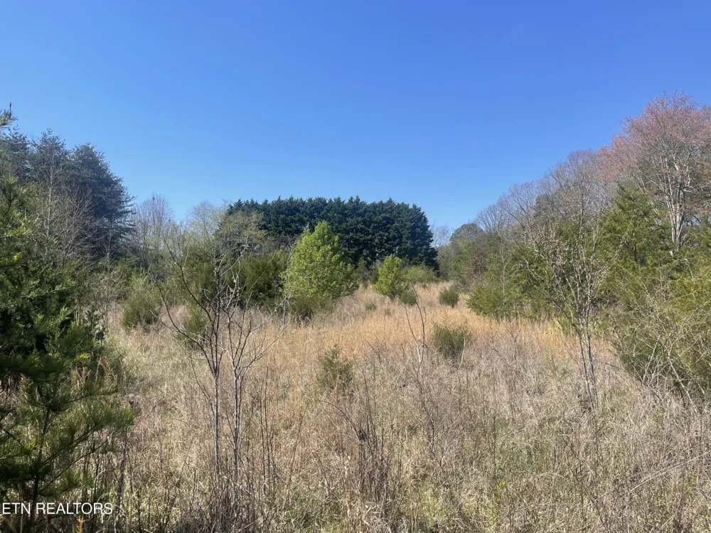 317 Mountain View Drive Vonore, TN 37885
