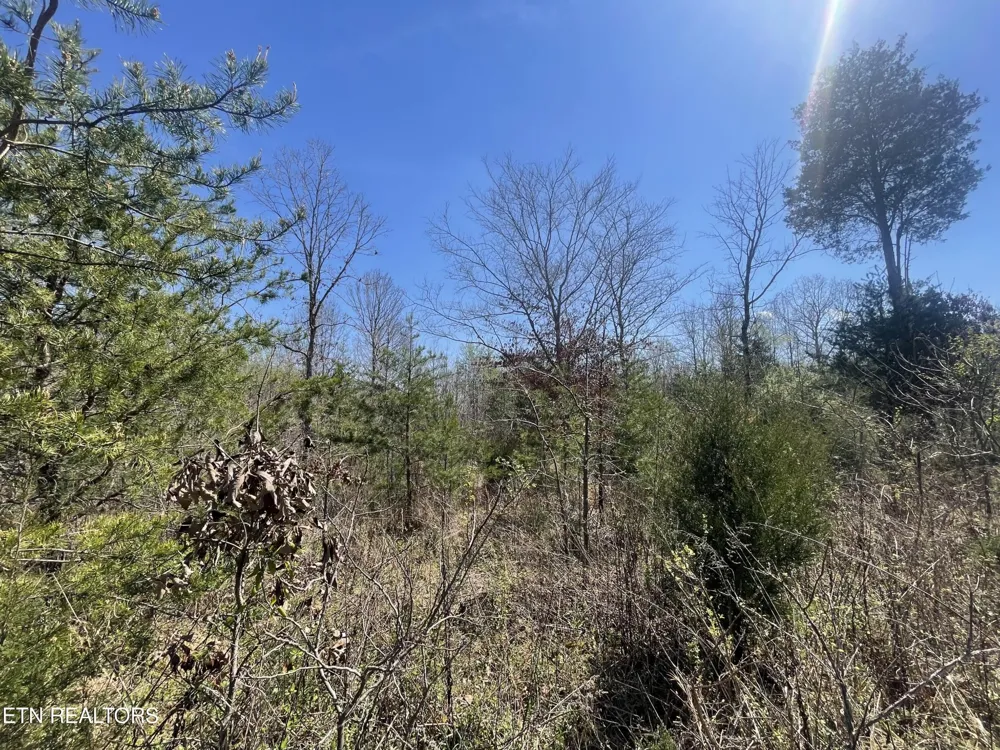 317 Mountain View Drive Vonore, TN 37885