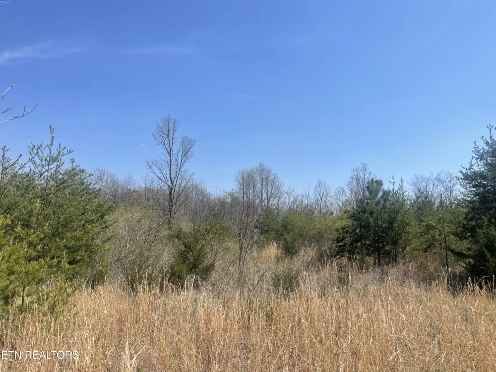 317 Mountain View Drive Vonore, TN 37885