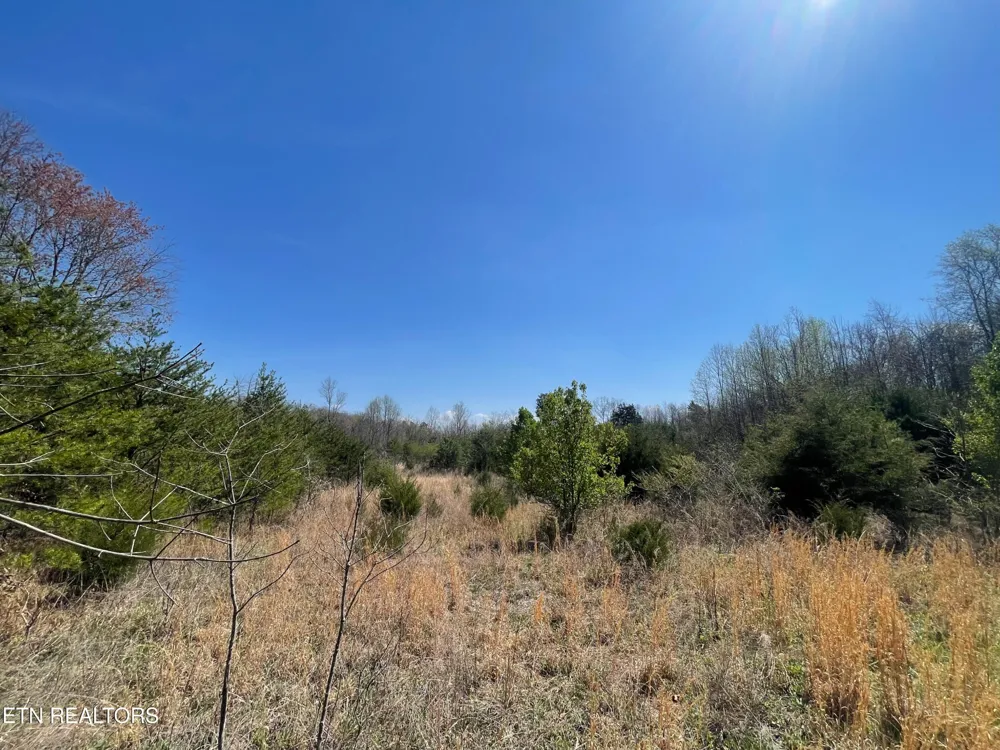 317 Mountain View Drive Vonore, TN 37885
