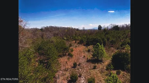 317 Mountain View Drive