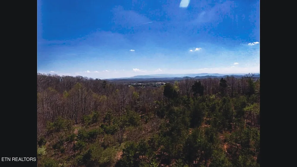 317 Mountain View Drive Vonore, TN 37885