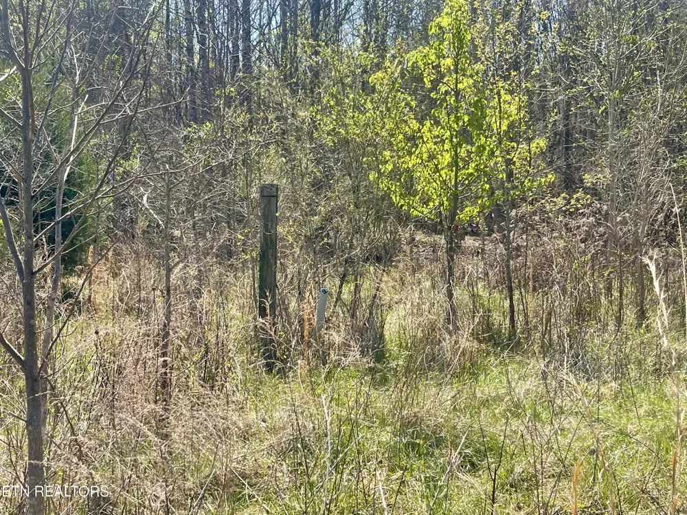 317 Mountain View Drive Vonore, TN 37885