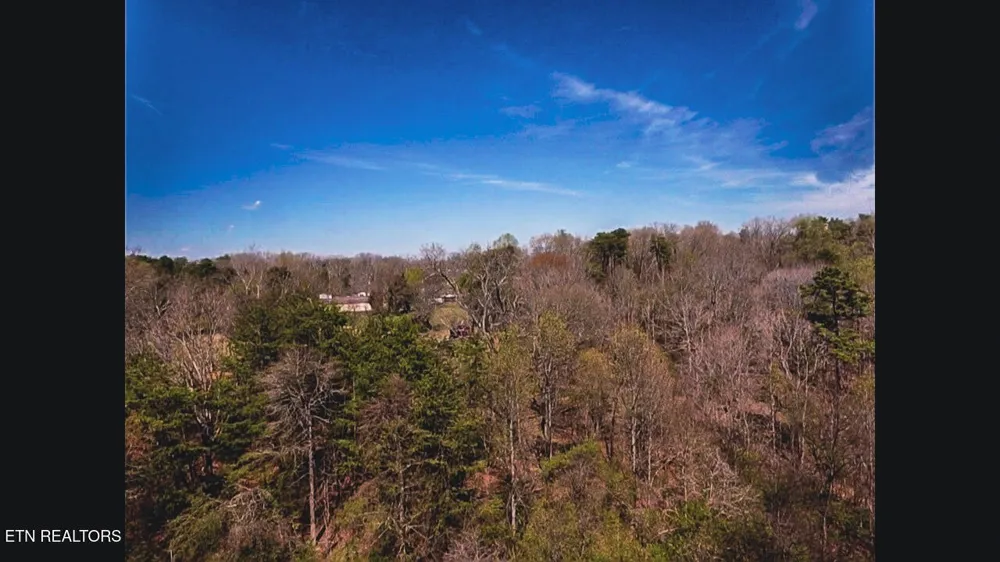 317 Mountain View Drive Vonore, TN 37885