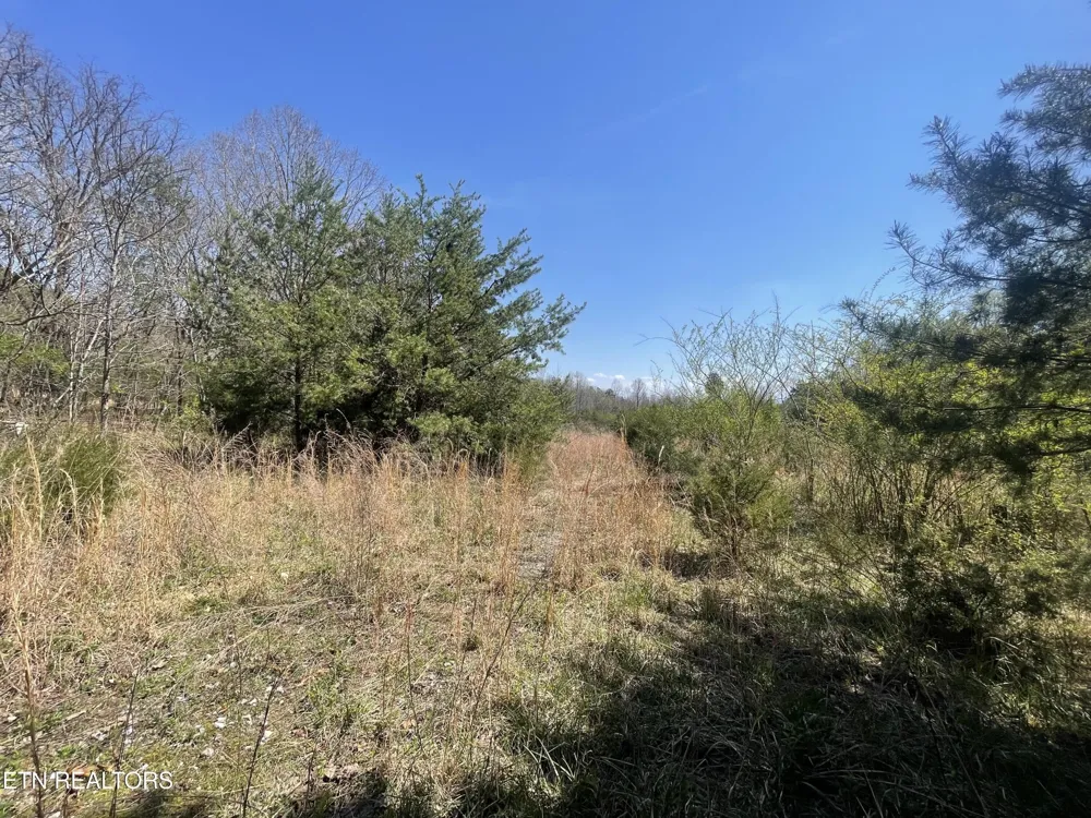 317 Mountain View Drive Vonore, TN 37885