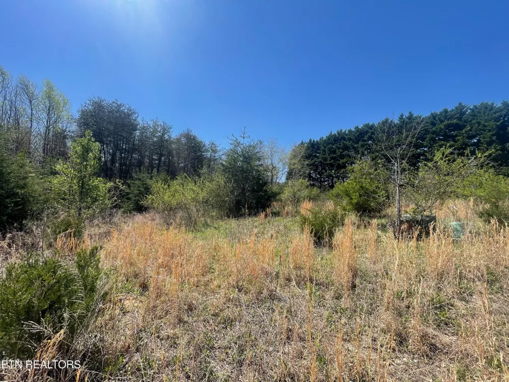 317 Mountain View Drive Vonore, TN 37885