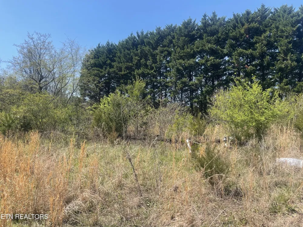 317 Mountain View Drive Vonore, TN 37885