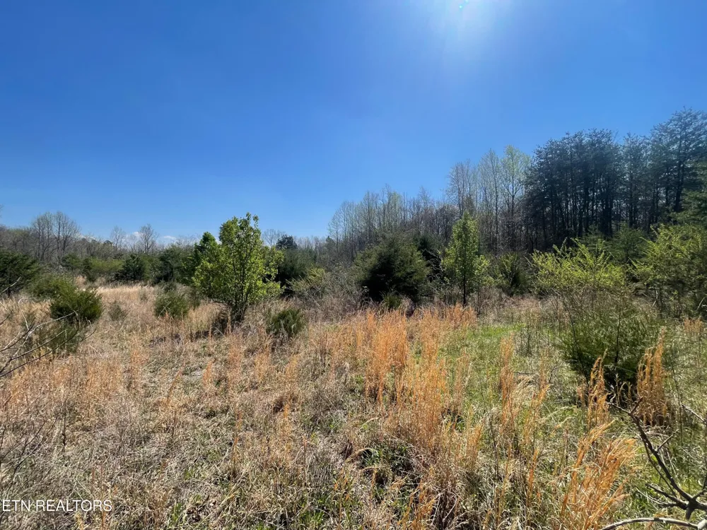 317 Mountain View Drive Vonore, TN 37885