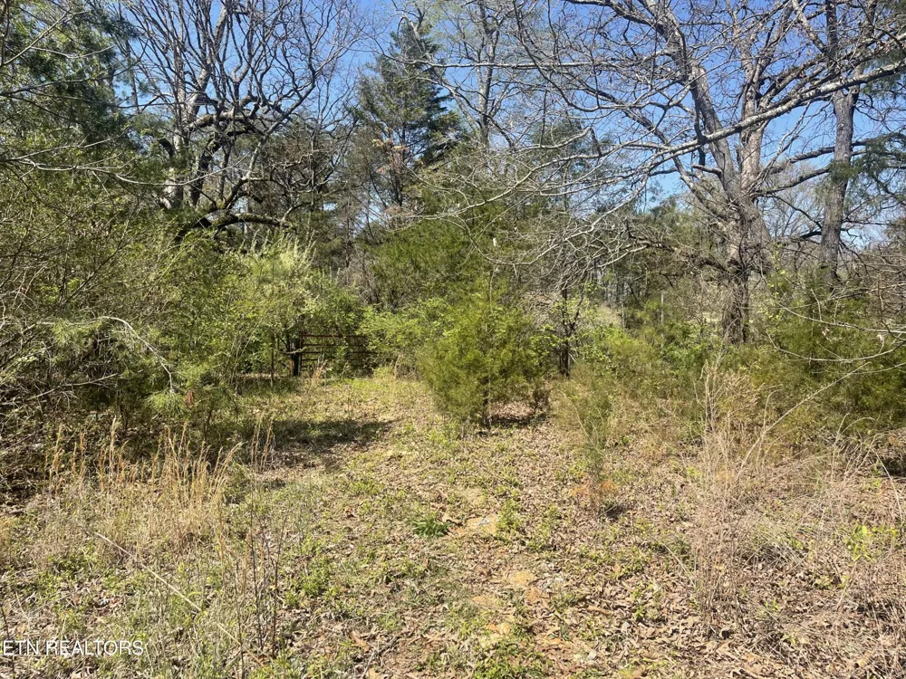 317 Mountain View Drive Vonore, TN 37885