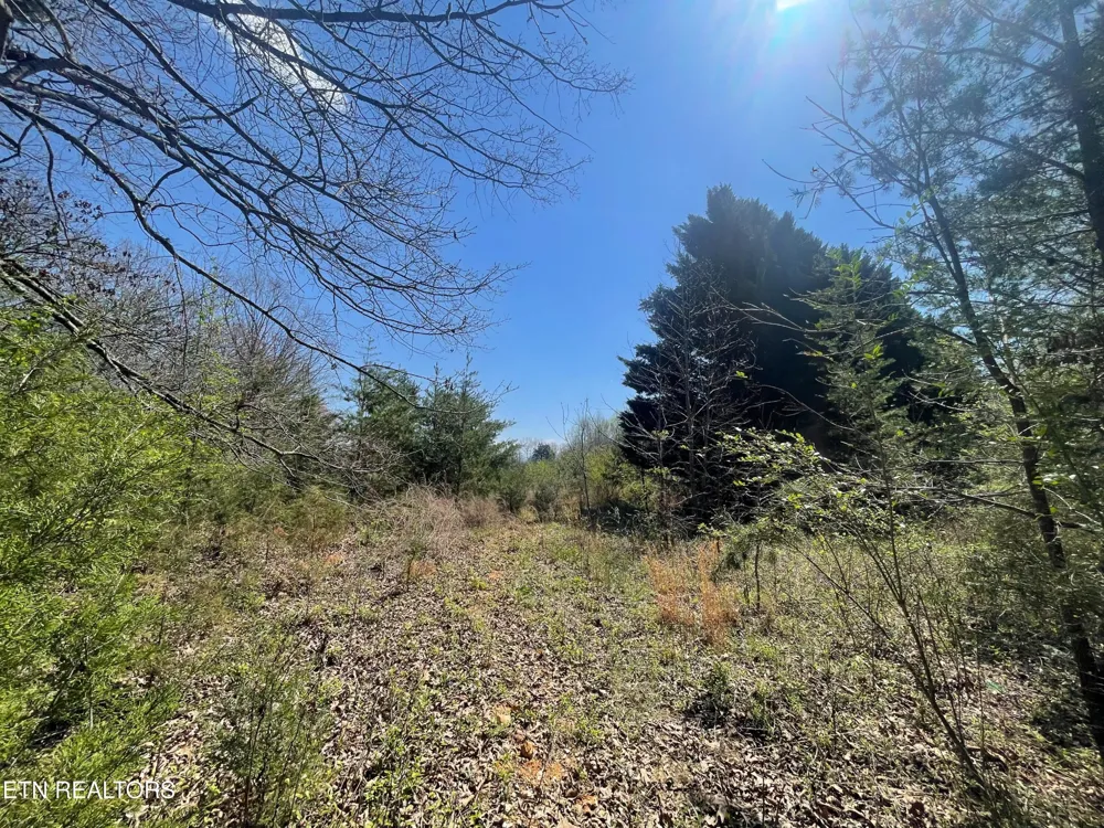 317 Mountain View Drive Vonore, TN 37885