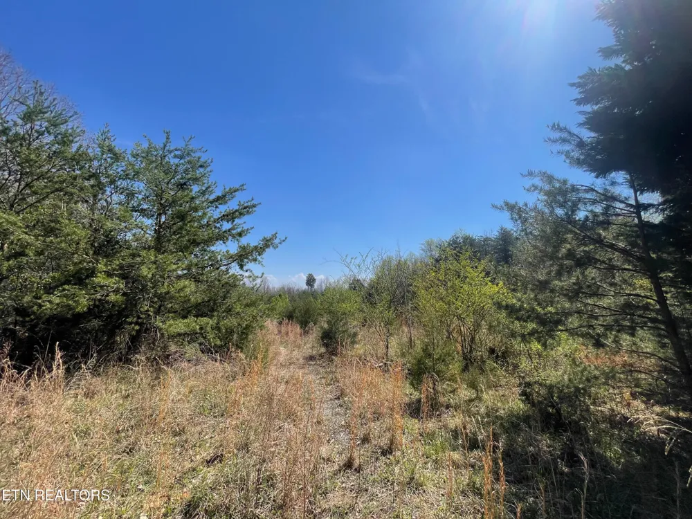 317 Mountain View Drive Vonore, TN 37885