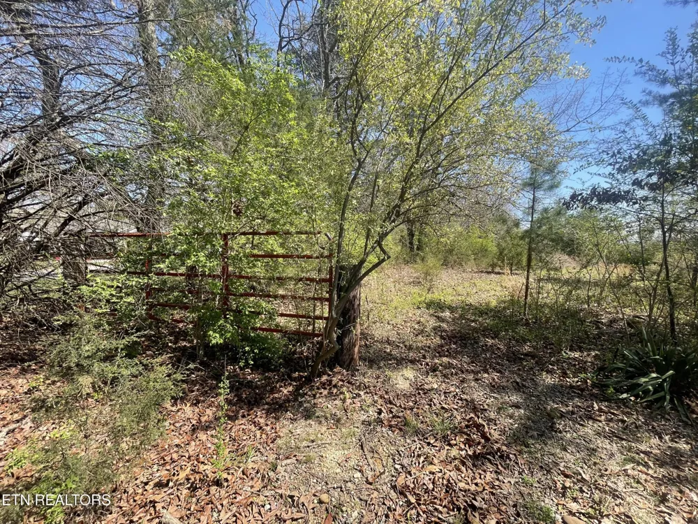 317 Mountain View Drive Vonore, TN 37885