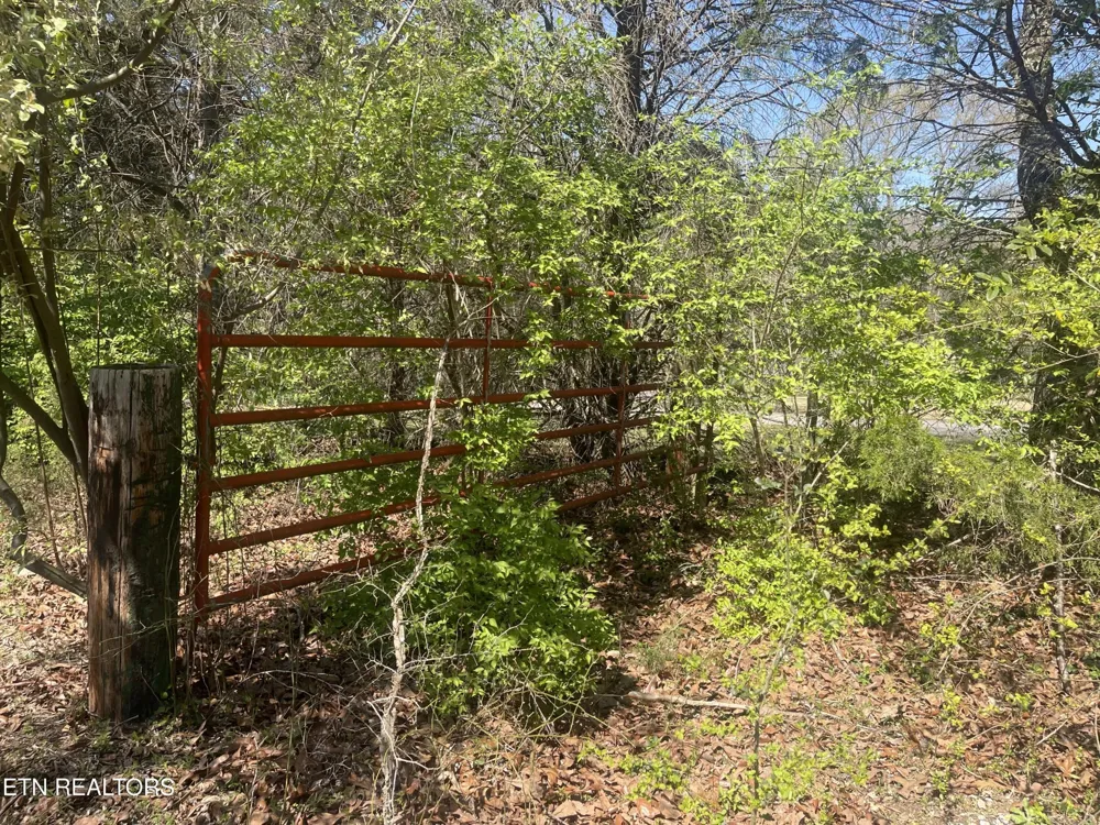 317 Mountain View Drive Vonore, TN 37885
