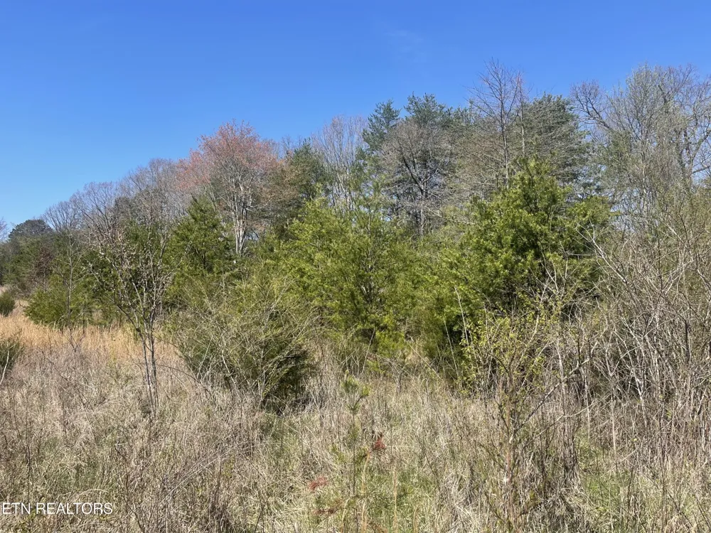 317 Mountain View Drive Vonore, TN 37885