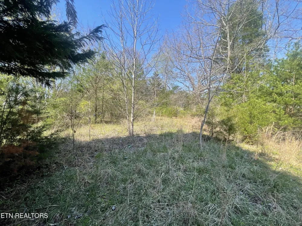 317 Mountain View Drive Vonore, TN 37885