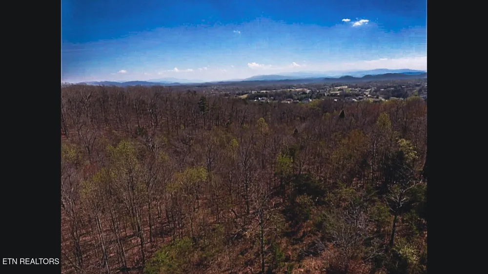 317 Mountain View Drive Vonore, TN 37885