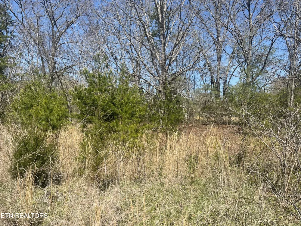 317 Mountain View Drive Vonore, TN 37885