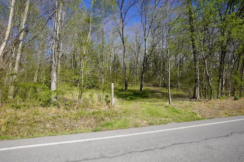 4219 Hwy 49