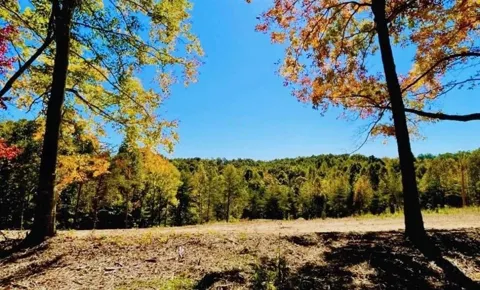 0 State Park Road