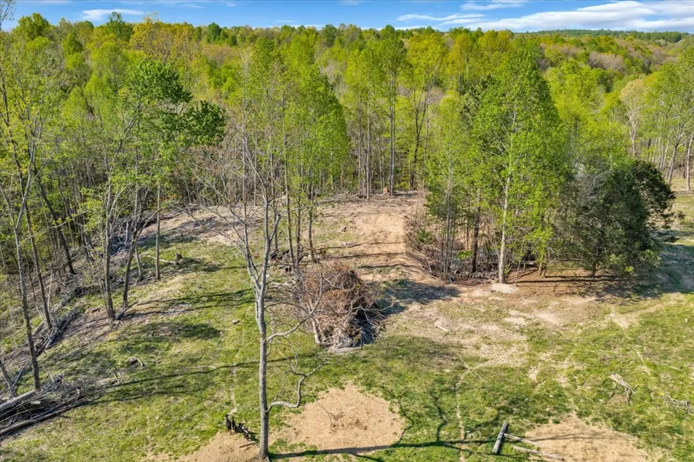 321 Goodridge Rd Woodbury, TN 37190