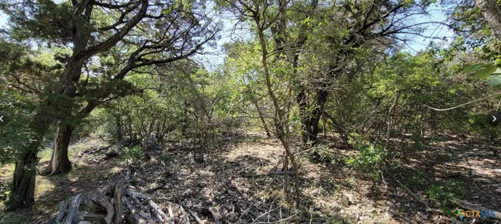 15921 Salado Drive Temple, TX 76502