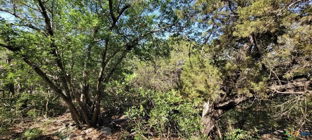 15921 Salado Drive Temple, TX 76502
