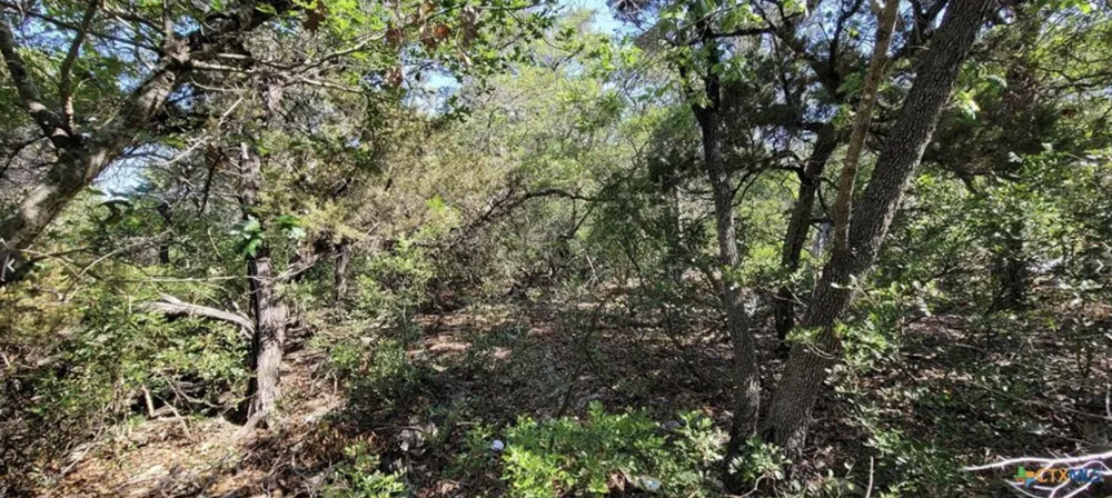 15921 Salado Drive Temple, TX 76502