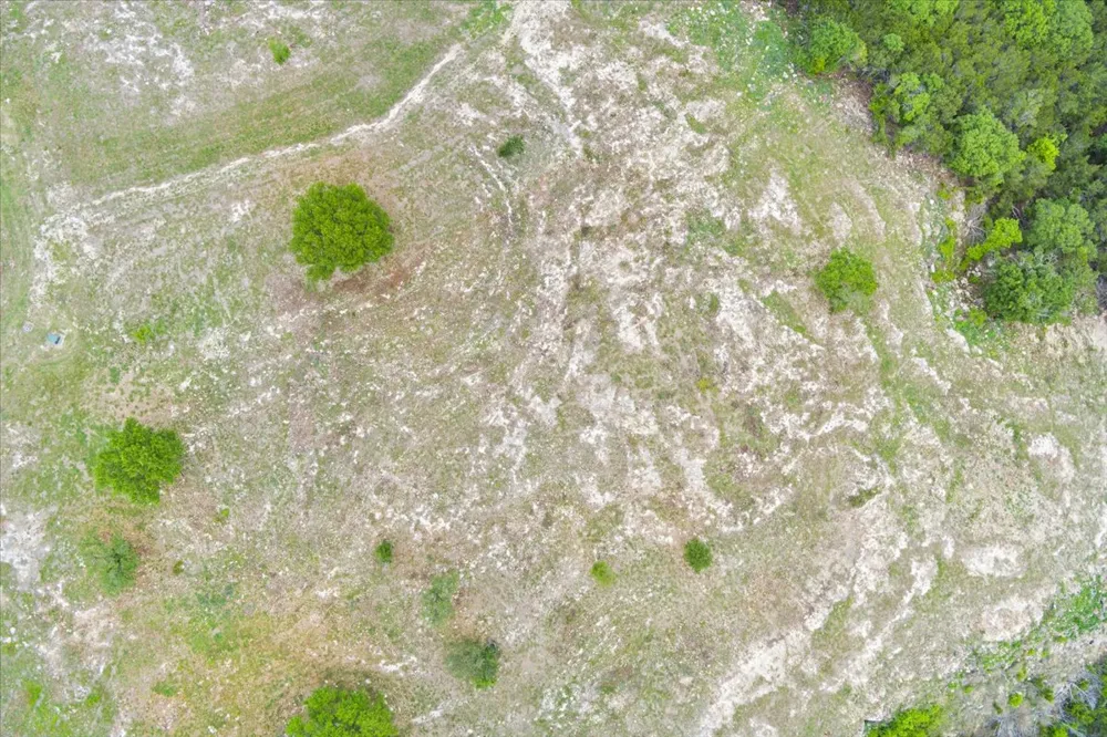 10135 Sweet Lilly Trail Temple, TX 76557