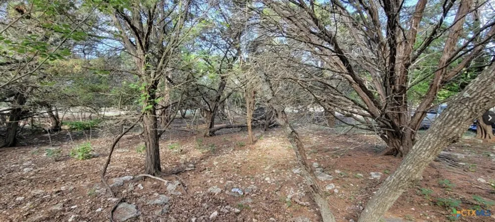 16082 Charlya Drive Temple, TX 76502