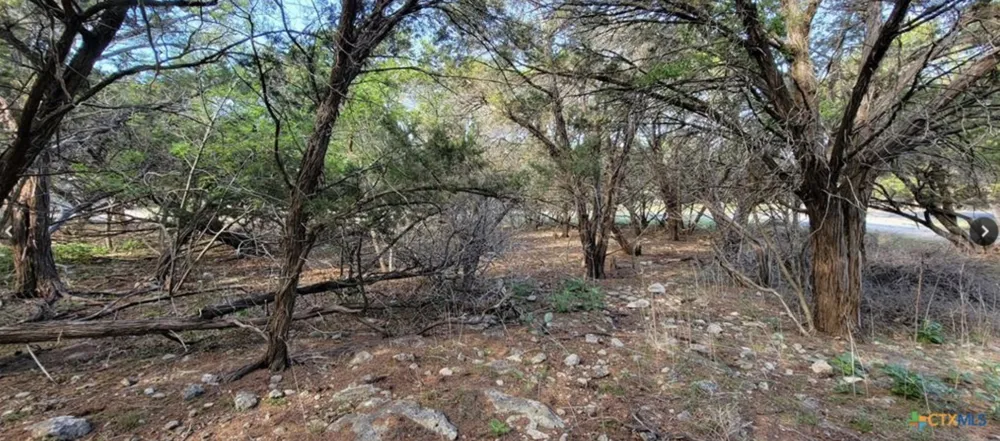 16082 Charlya Drive Temple, TX 76502