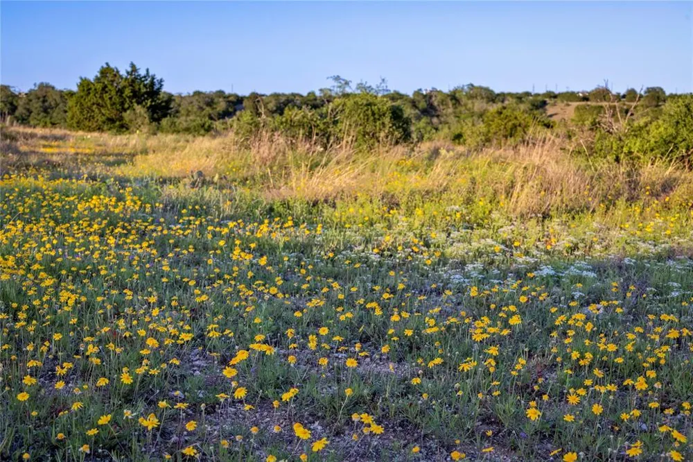 197 Sierra Drive Bertram, TX 78605