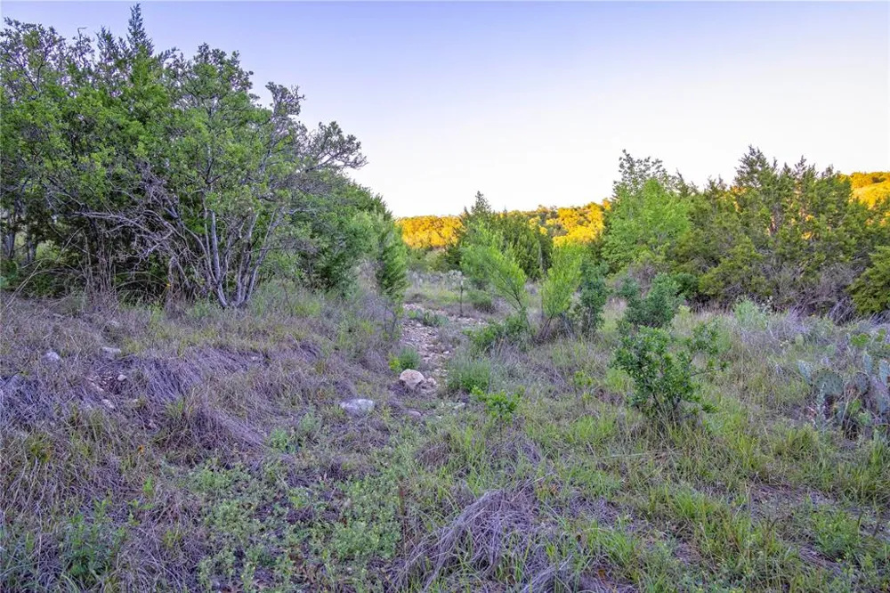 197 Sierra Drive Bertram, TX 78605