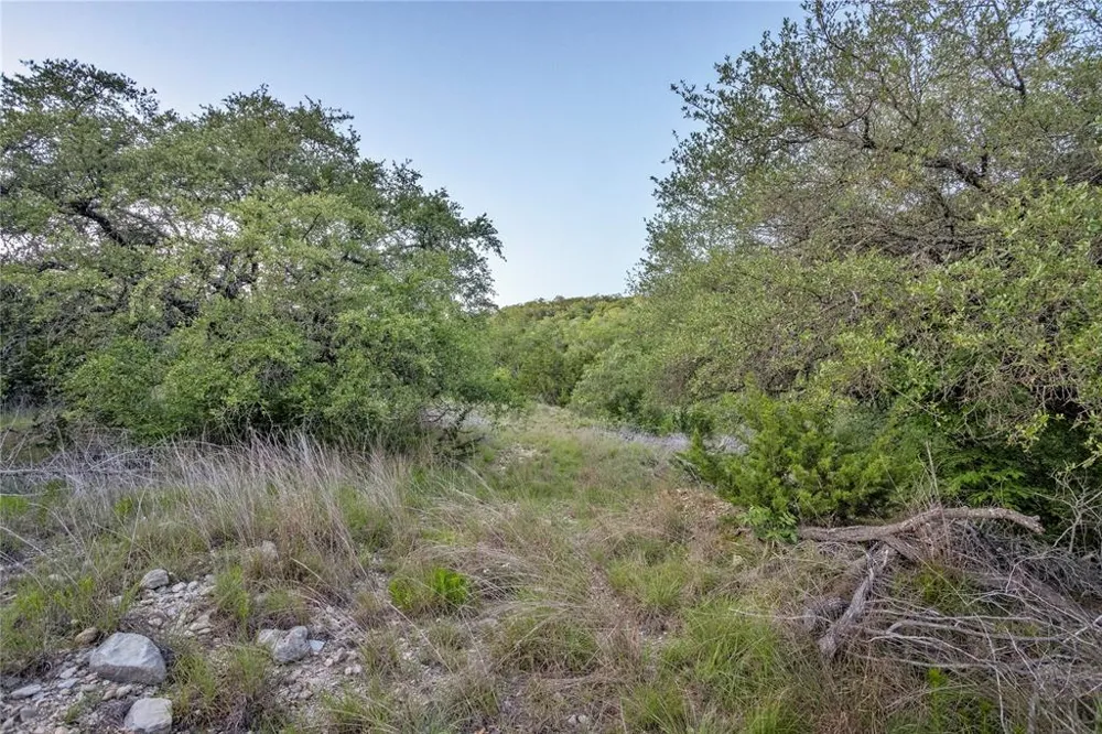 197 Sierra Drive Bertram, TX 78605