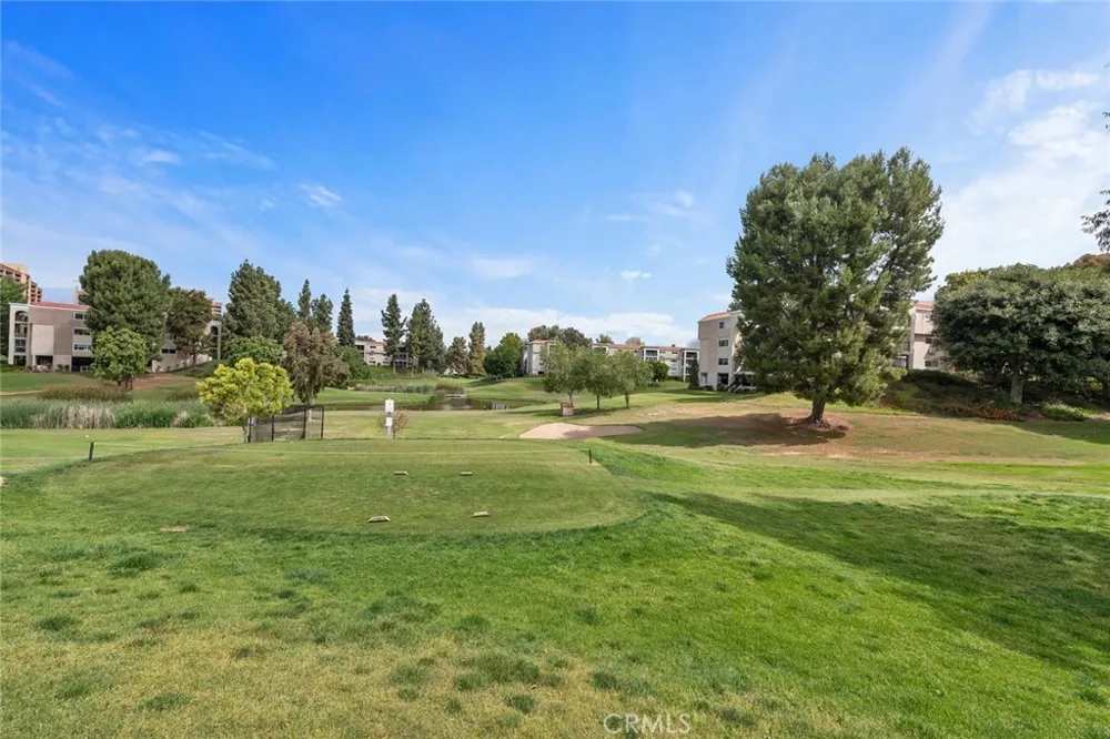 24055 Paseo Del Lago #612 Laguna Woods, CA 92637