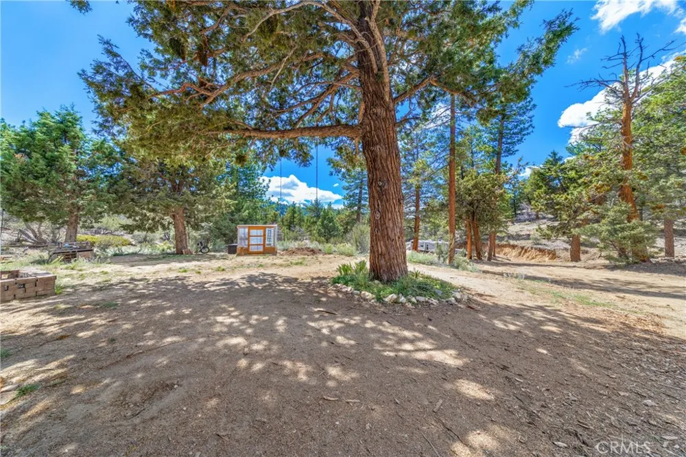 4295 Noodle Angelus Oaks, CA 92305