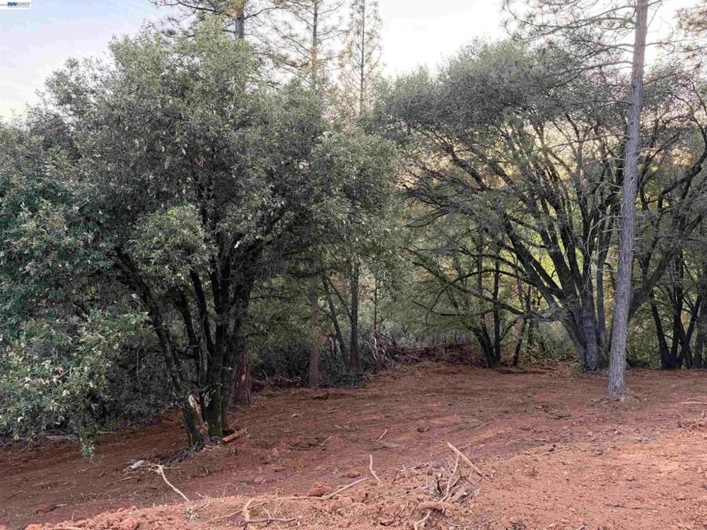 4700 Kelley Pl Garden Valley, CA 95633