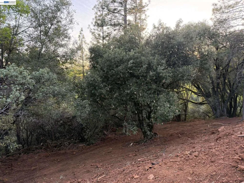 4700 Kelley Pl Garden Valley, CA 95633