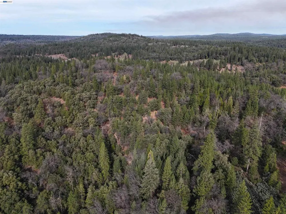 4700 Kelley Pl Garden Valley, CA 95633