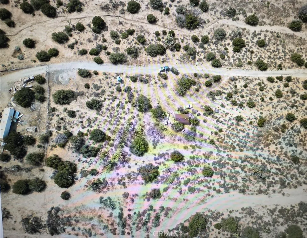 13138 Fort Tejon Pearblossom, CA 93553