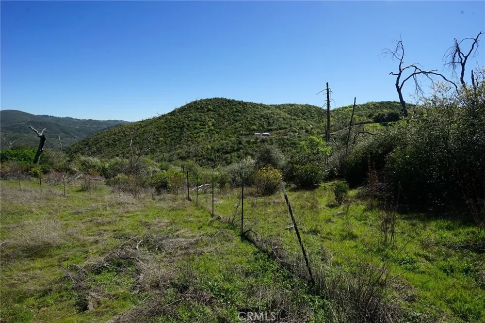 8211 Maranatha Lane Mokelumne Hill, CA 95245