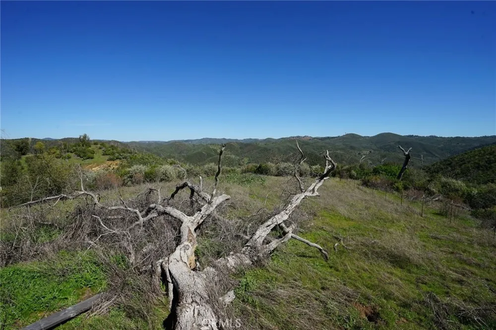 8211 Maranatha Lane Mokelumne Hill, CA 95245