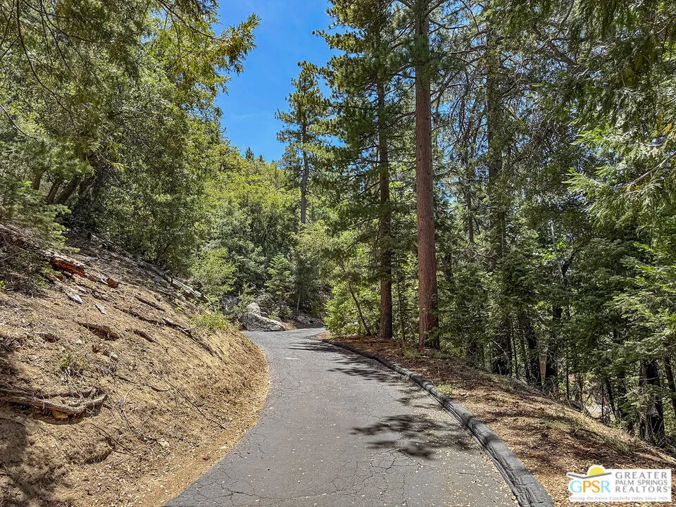 23971 Skyview Drive Idyllwild, CA 92549