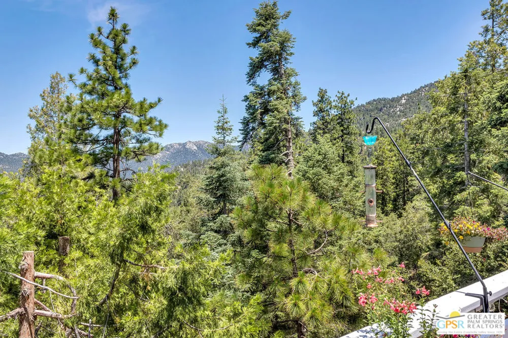 23971 Skyview Drive Idyllwild, CA 92549