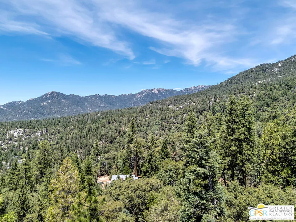 23971 Skyview Drive Idyllwild, CA 92549