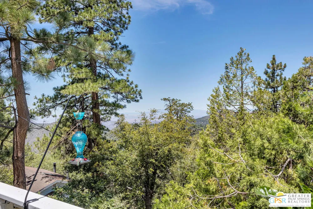 23971 Skyview Drive Idyllwild, CA 92549