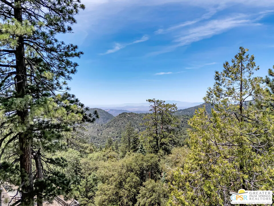 23971 Skyview Drive Idyllwild, CA 92549