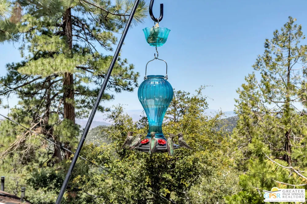 23971 Skyview Drive Idyllwild, CA 92549