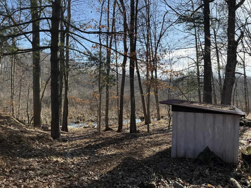 10780 Round Lake Drive Mecosta, MI 49332