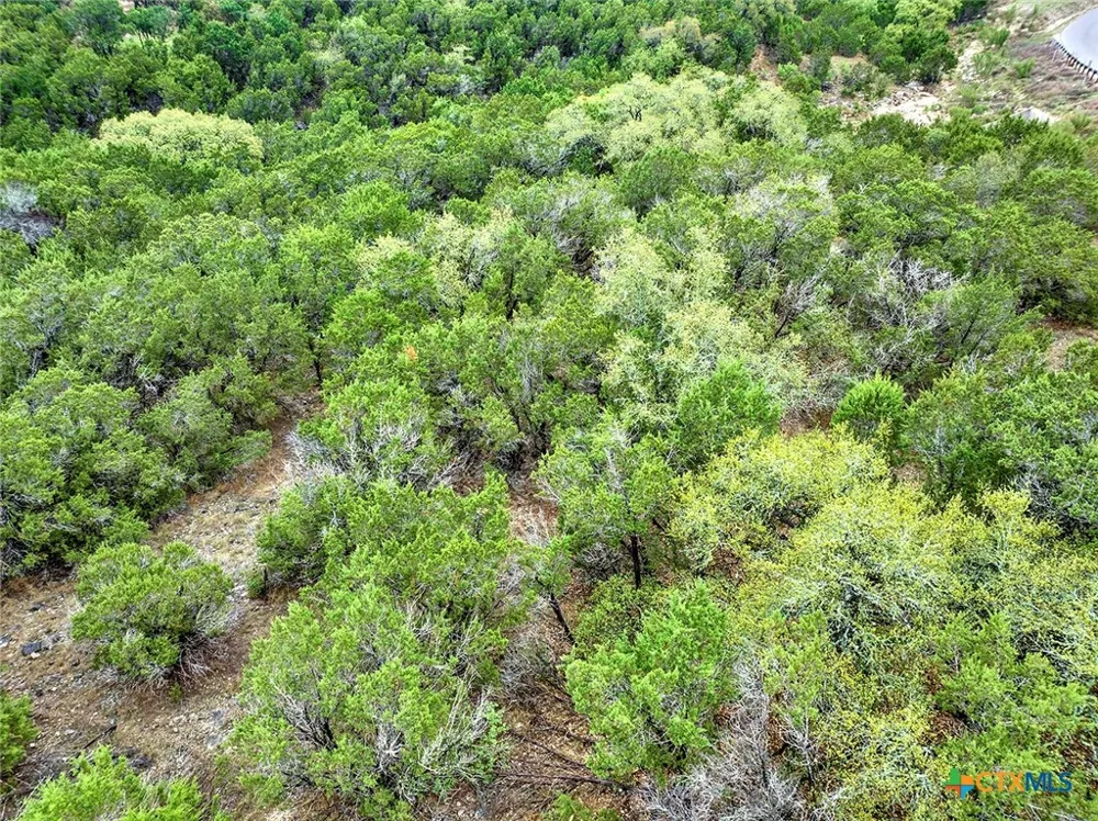 379 Cloudveil New Braunfels, TX 78132